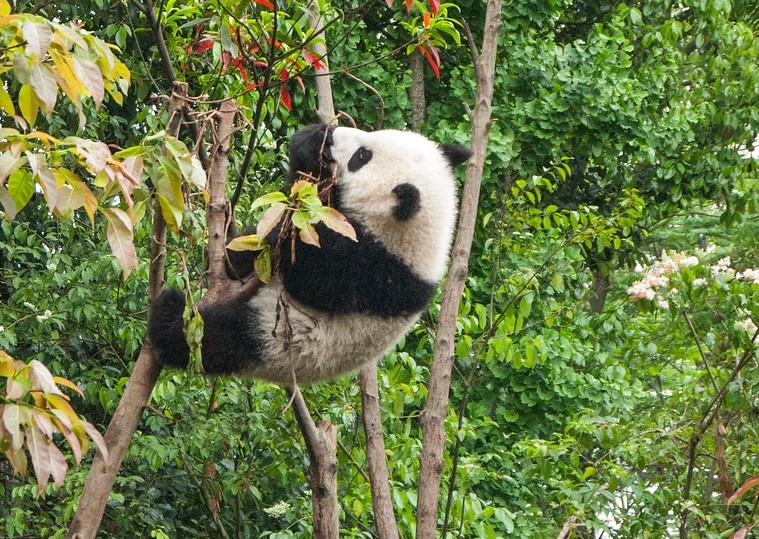 A positive attitude reduces anxiety and panic attacks.