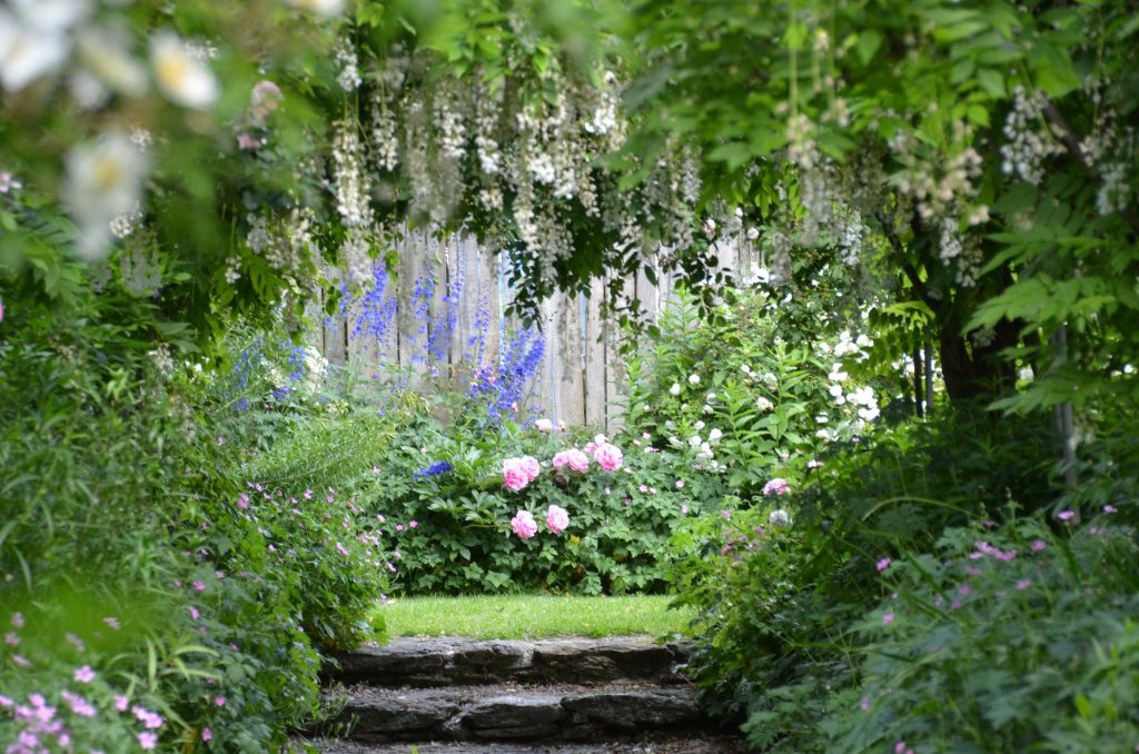 an inviting place to ground in the garden