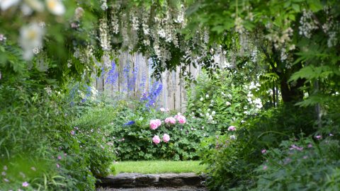 an inviting place to ground in the garden